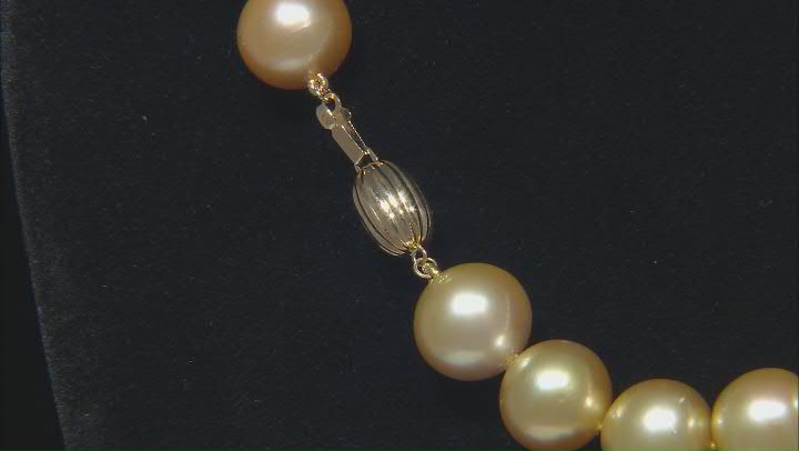 Golden South Sea Cultured Pearl 14k Yellow Gold 17 Inch Strand Necklace Video Thumbnail