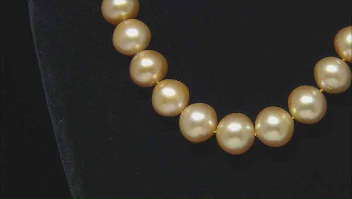 Golden South Sea Cultured Pearl 14k Yellow Gold 17 Inch Strand Necklace Video Thumbnail