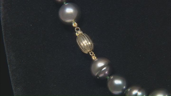 Aubergine Tahitian Cultured Pearl 14k Yellow Gold 20 Inch Strand Necklace Video Thumbnail