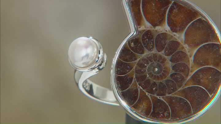 Ammonite Shell and Cultured Freshwater Pearl Sterling Silver Ring Video Thumbnail