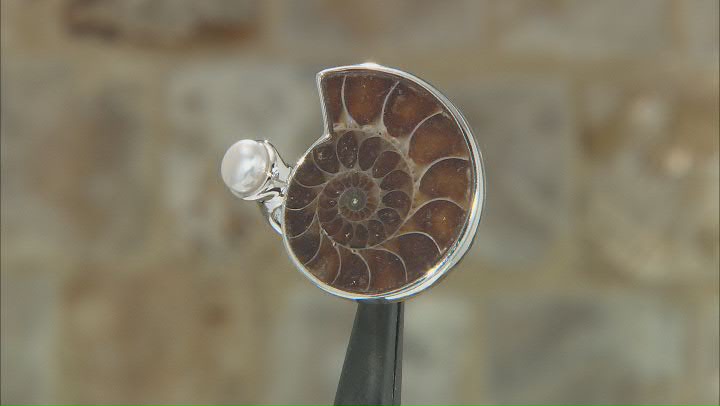 Ammonite Shell and Cultured Freshwater Pearl Sterling Silver Ring Video Thumbnail