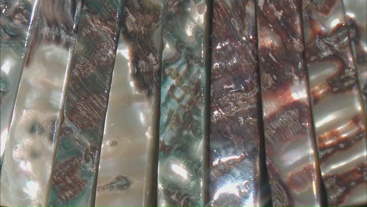 Abalone Shell  Graduated Collar Necklace Video Thumbnail