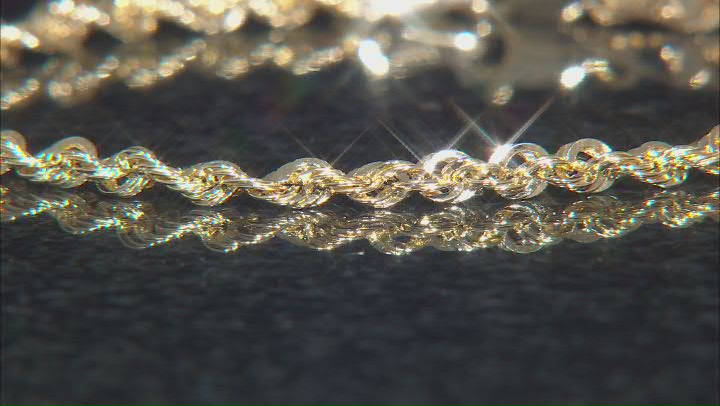 10K Yellow Gold 3.2MM Diamond-Cut Rope Link Bracelet Video Thumbnail