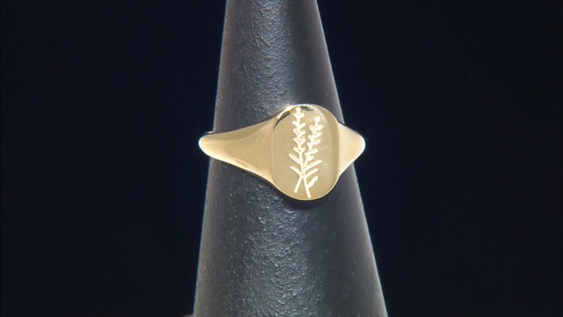 10k Yellow Gold Olive Branch Signet Ring Video Thumbnail