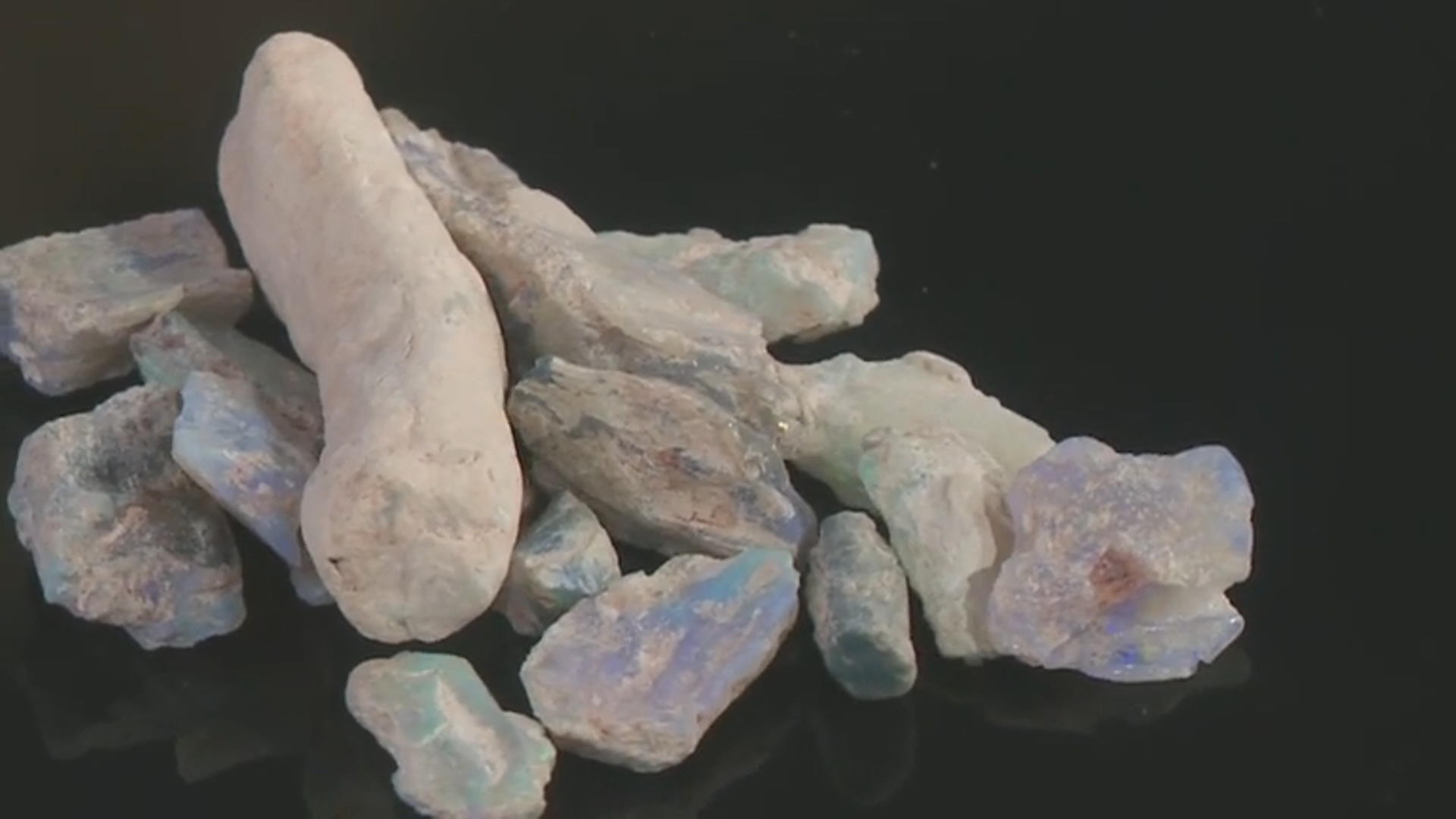 Opalised Plant Fossil Free Form Set Video Thumbnail
