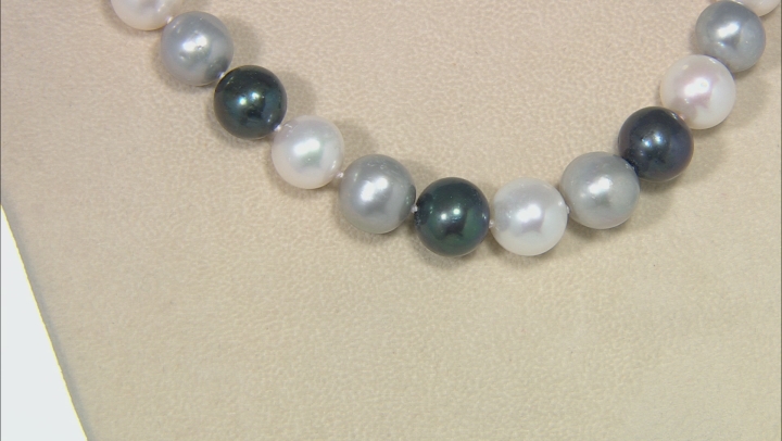 Multi-Color Cultured Freshwater Pearl Rhodium Over Sterling Silver Necklace 11-13mm