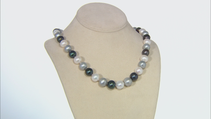Multi-Color Cultured Freshwater Pearl Rhodium Over Sterling Silver Necklace 11-13mm