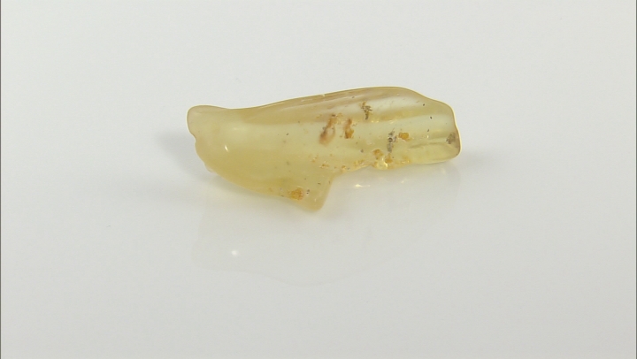 Copal Rough With insects Free Form 50.00ct