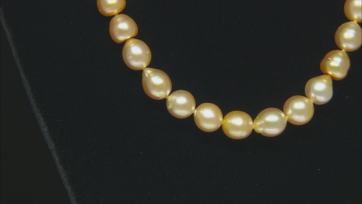 Golden Cultured South Sea Pearl, 18k Yellow Gold Over Sterling Silver 20 Inch Necklace 8-10mm Video Thumbnail