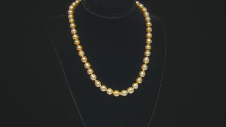 Golden Cultured South Sea Pearl, 18k Yellow Gold Over Sterling Silver 20 Inch Necklace 8-10mm Video Thumbnail