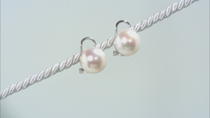 White Cultured Freshwater Pearl 11-12mm Rhodium Over Silver Omega Earrings Video Thumbnail