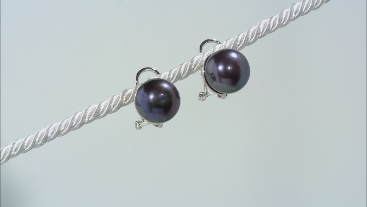 Black Cultured Freshwater Pearl 11-12mm Rhodium Over Silver Omega Earrings Video Thumbnail