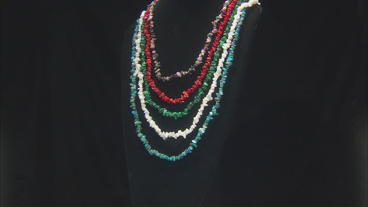 Multi-Color Assorted Gemstone Set of 5 Endless Strand Chip Necklaces Video Thumbnail