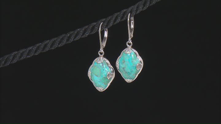 Blue Turquoise Sterling Silver Dangle Earrings Video Thumbnail