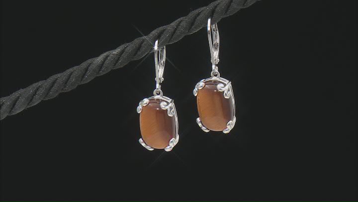 Brown Tigers Eye Rhodium Over Sterling Silver Solitaire Dangle Earrings Video Thumbnail