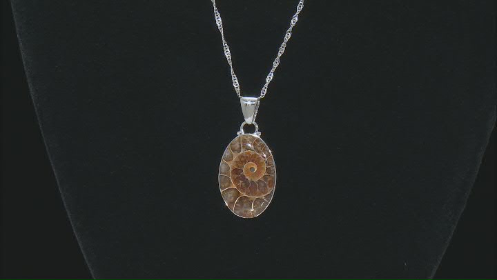 Brown Ammonite Shell Rhodium Over Sterling Silver Solitaire Pendant With Chain Video Thumbnail