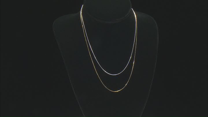 Sterling Silver and 18K Yellow Gold Over Sterling Silver Set of Two 22 Inch Snake Chain Video Thumbnail