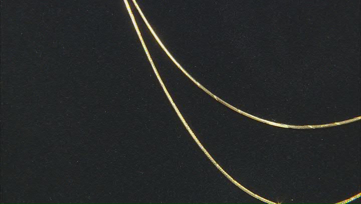 18k Yellow Gold Over Sterling Silver Set Of 2 20 And 24 Inch Snake Chains With Diamond-Cut Stations Video Thumbnail