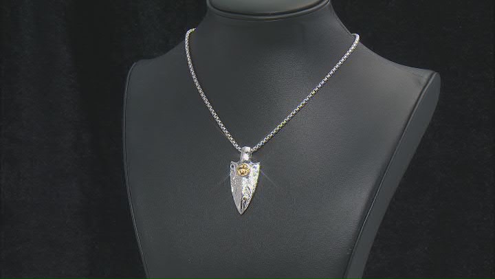 Two Tone Stainless Steel Arrowhead Pendant With Chain Video Thumbnail