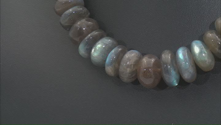 Labradorite Appx 12-20mm Graduated Smooth Rondelle Bead Strand Appx 15-16" in length Video Thumbnail