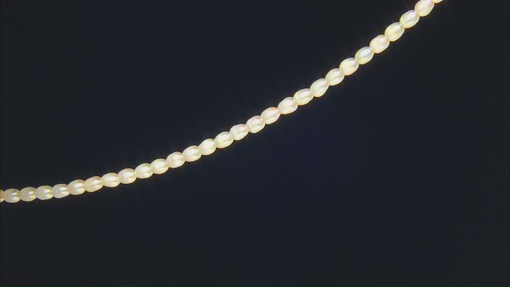 Champagne Cultured Freshwater Pearl Rice Bead appx 4x6mm appx 15" Strand Length Video Thumbnail