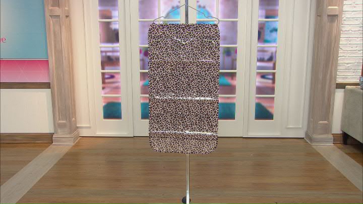 Double-Sided Hanging Jewelry Storage Organizer in Leopard Print Video Thumbnail