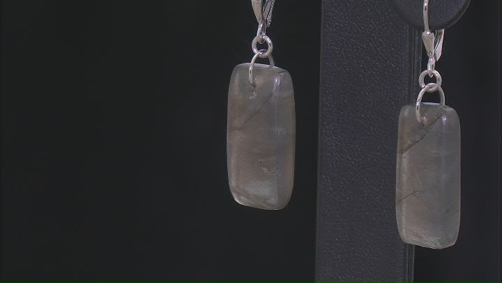 Gray Labradorite Rhodium Over Sterling Silver Earrings Video Thumbnail