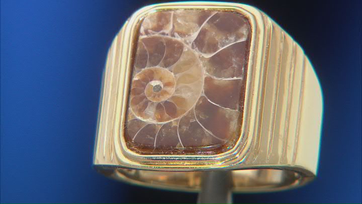 Brown Ammonite 18K Yellow Gold Over Sterling Silver Solitaire Mens Ring Video Thumbnail