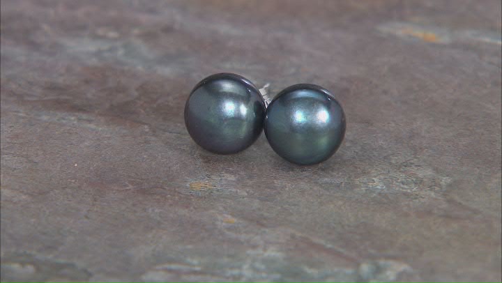 Black Cultured Freshwater Pearl Rhodium Over Sterling Silver Graduated Stud Earring Set of 7 Video Thumbnail