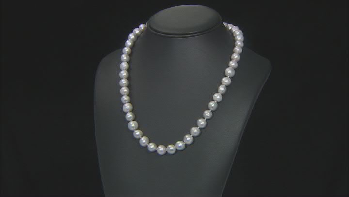 Platinum Cultured Freshwater Pearl Rhodium Over Sterling Silver Necklace & Bracelet Set Video Thumbnail