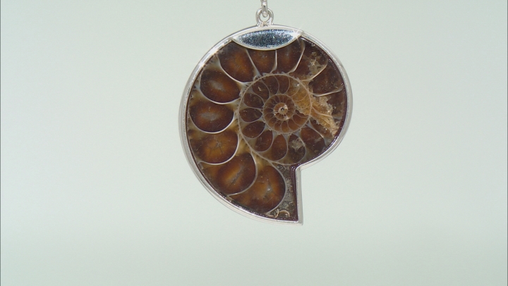 Brown Ammonite Shell Sterling Silver Pendant with Chain Video Thumbnail