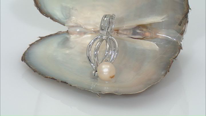 Wish® Pearl, Cultured Freshwater Pearl Rhodium Over Silver Cage Pendant Video Thumbnail