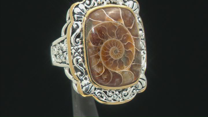Brown Ammonite Shell Rhodium & 18k Yellow Gold Over Silver Two-Tone Ring Video Thumbnail
