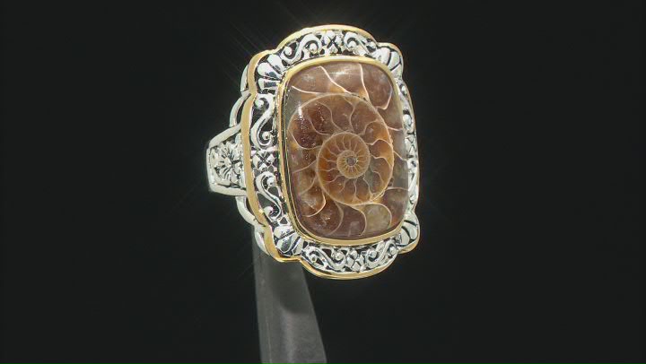 Brown Ammonite Shell Rhodium & 18k Yellow Gold Over Silver Two-Tone Ring Video Thumbnail