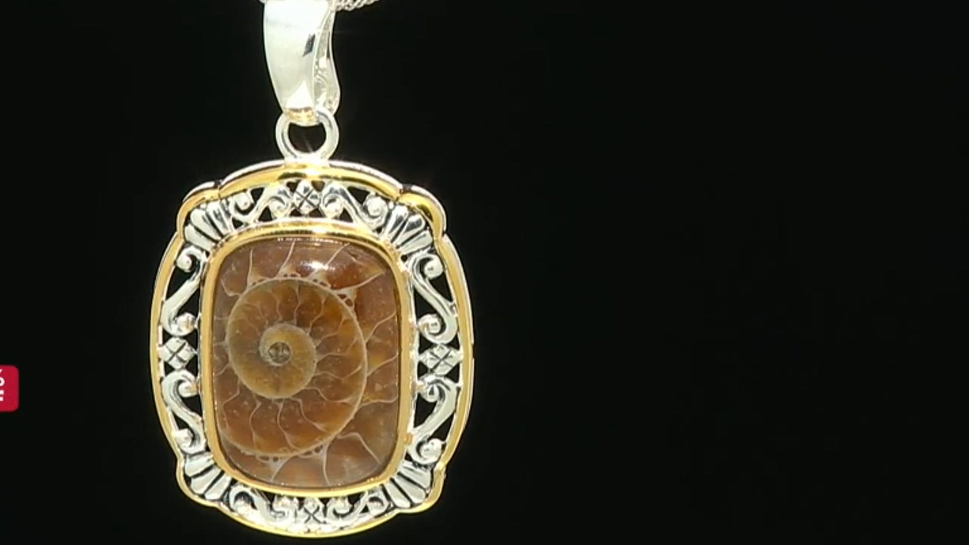 Brown Ammonite Shell Rhodium & 18k Yellow Gold Over Silver Two-Tone Enhancer With Chain Video Thumbnail