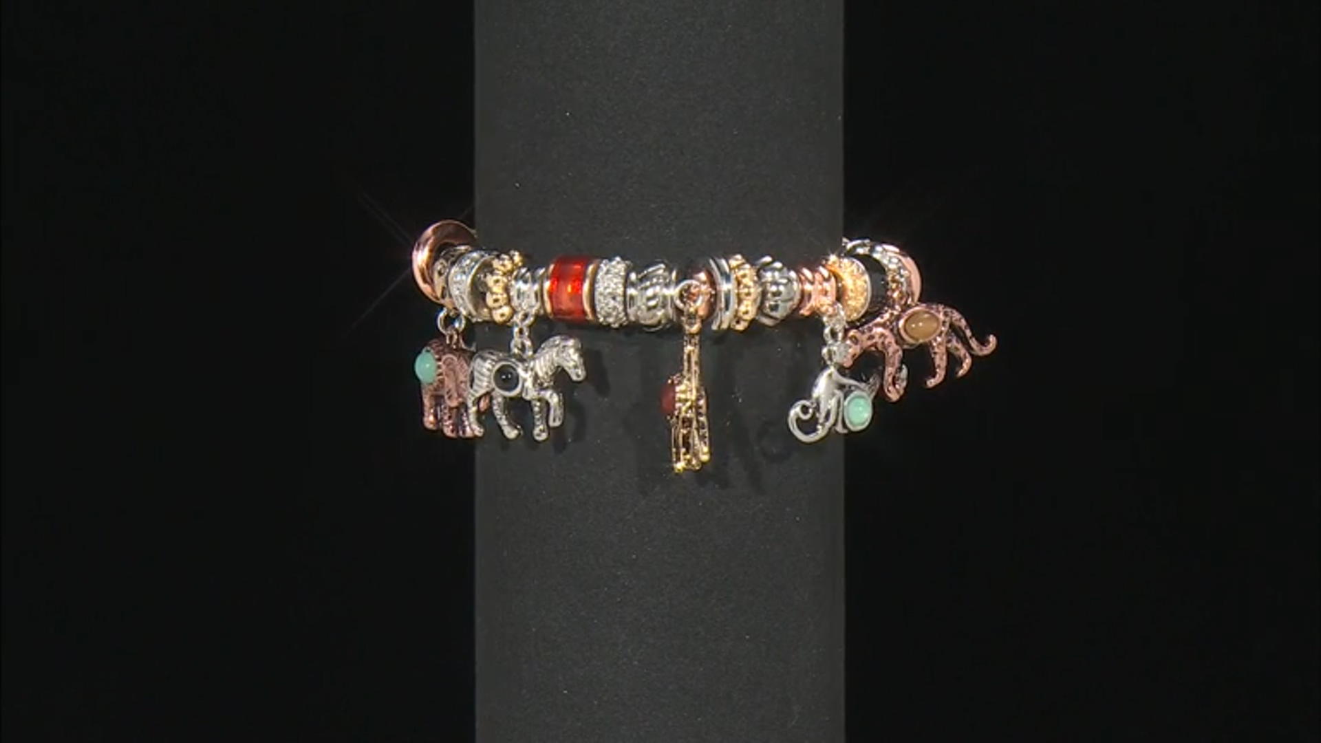 Multi Color Tri-Tone Animal Themed Charm Bracelet Video Thumbnail