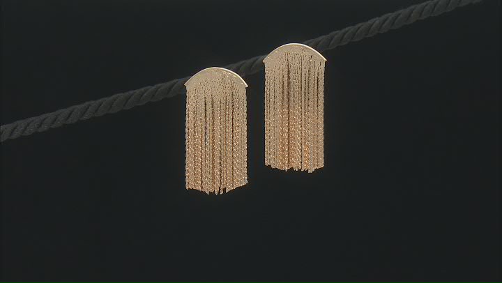 Gold & Silver Tone Set of 2 Tassel Earrings Video Thumbnail