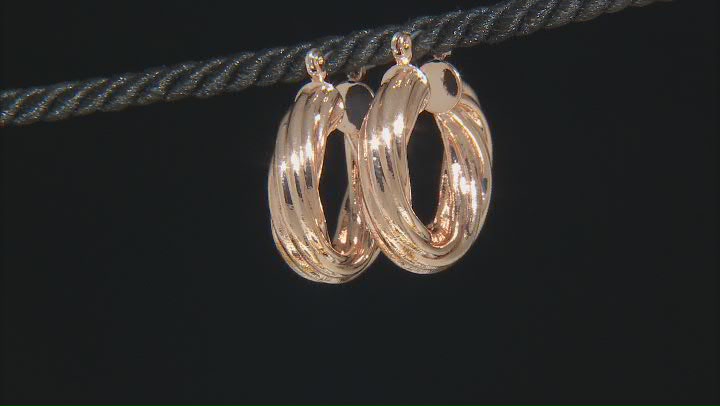 Gold, Silver, & Rose Gold Tone Set of 3 Twisted Hoop Earrings Video Thumbnail