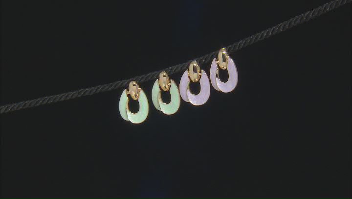 Multi-Color Resin Gold Tone 5 Piece Earring Set Video Thumbnail