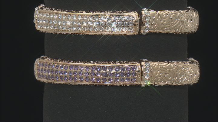 Tanzanite Color Glass & White Crystal Gold Tone Set of 2 Stretch Bracelet Video Thumbnail