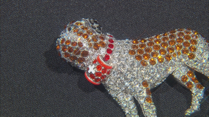 Crystal Silver Tone Saint Bernard Dog Brooch Video Thumbnail