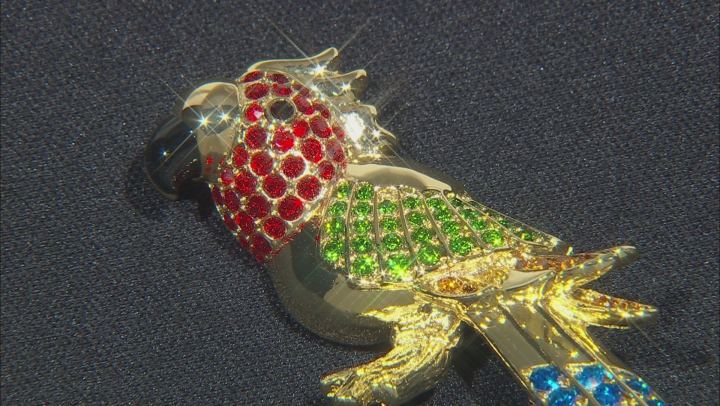 Multi- Color Crystal Shiny Gold Tone Bird Brooch - OPC873 | JTV.com