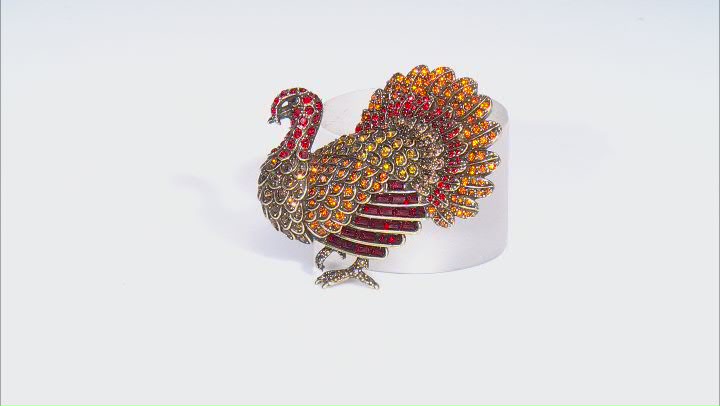 Antique Bronze Tone Multicolor Crystal Turkey Brooch Video Thumbnail