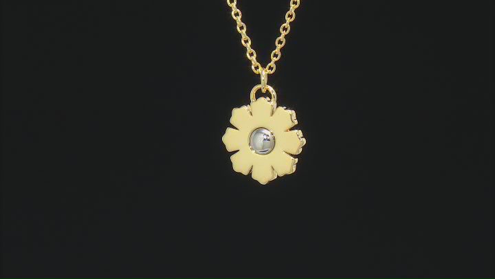 Gold and Silver Tone Flower Earring and Pendant With 18" Chain Video Thumbnail