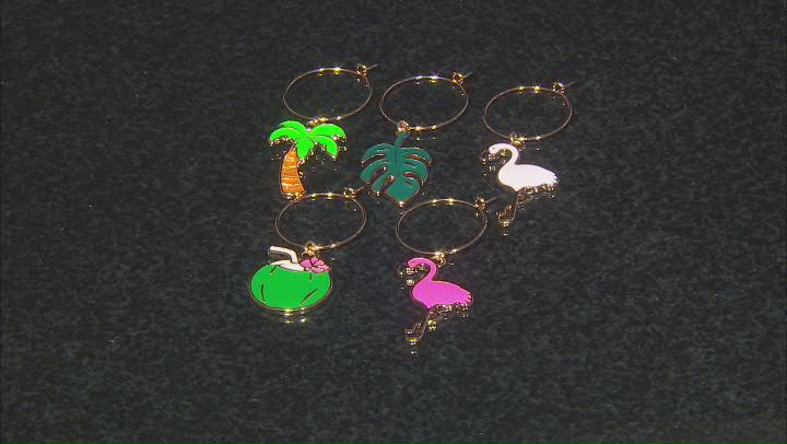 Enamel Gold Tone Summer Holiday Set of 5 Wine Charms Video Thumbnail