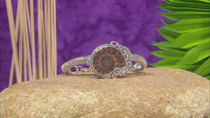 Ammonite Shell Sterling Silver Bracelet Video Thumbnail