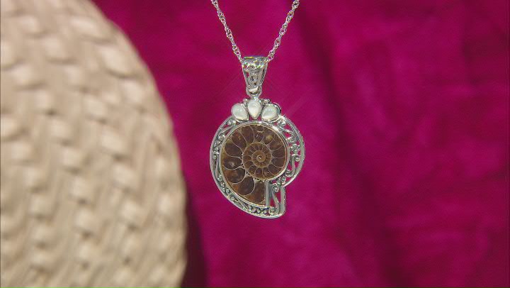 Brown Ammonite Shell with White Mother-Of-Pearl Sterling Silver Enhancer with Chain Video Thumbnail