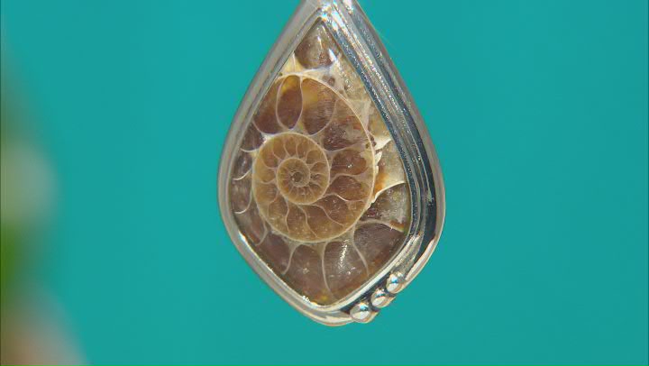 Ammonite Shell Oxidized Sterling Silver Pendant With Chain Video Thumbnail