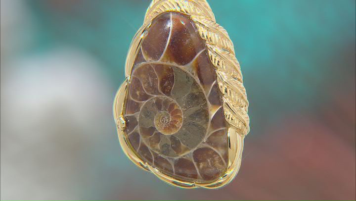 Ammonite Shell 18k Yellow Gold Over Sterling Silver Pendant With Chain Video Thumbnail