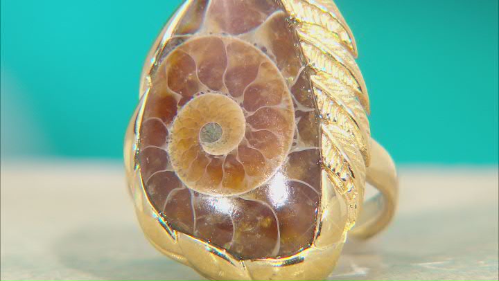 Ammonite Shell 18k Yellow Gold Over Sterling Silver Ring Video Thumbnail